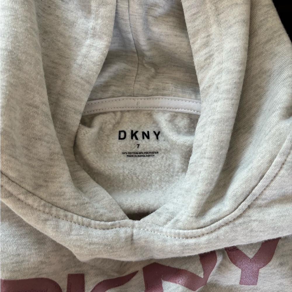 DKNY Kids Light Gray Hoodie with Maroon Logo - Picture 4 of 7